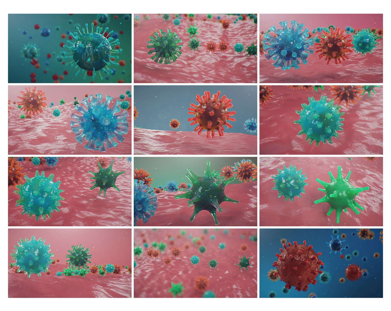 buzzbundle virus buzzbundle virus