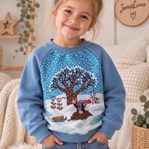 Raglanshirt,Kuschelpullover,Langarmshirt, Pullover,Der kleine Maulwurf, Winter