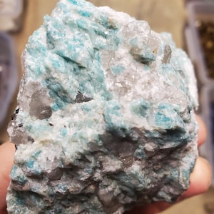 Rough Raw Chrysoprase AAA Quality 3-4 Inch Examples! 2.2 Lbs Wholesale Lot