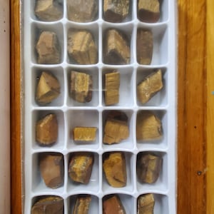 Rough Tiger Eye Factory Sealed Flat 24 Examples Brazil