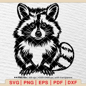 Cute Raccoon SVG, Baby Raccoon svg, Raccoon svg, Raccoon vector, Raccoon Silhouette, Peeking Racoon svg [EP-542]