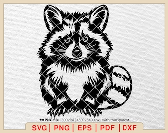 Cute Raccoon SVG, Baby Raccoon svg, Raccoon svg, Raccoon vector, Raccoon Silhouette, Peeking Racoon svg [EP-542]