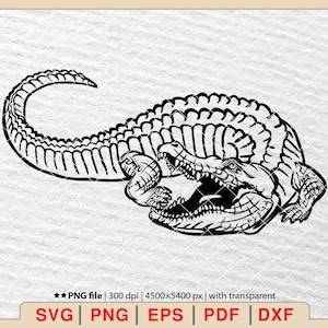 Krokodil SVG, Alligator SVG, Krokodil Clipart, Alligator Kopf SVG, Krokodil Vektor, Amphibien SVG Bundle[EP174]