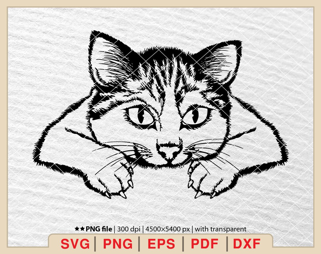 Cute Cat Svg Peeking Cat Svg Funny Kitty Svg Animal Funny - Etsy