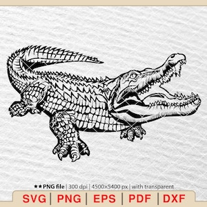 Krokodil SVG, Alligator SVG, Krokodil Clipart, Krokodil Dateien für Cricut, Krokodil Cut Dateien, Krokodil Dxf, Png, Eps, SVG, Pdf [EP-318]