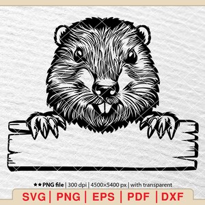Happy Beaver Clipart SVG: Smiling Beaver Shirt Design (Digital Download)