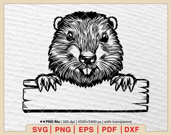 Happy Beaver Clipart SVG: Smiling Beaver Shirt Design (Digital Download)