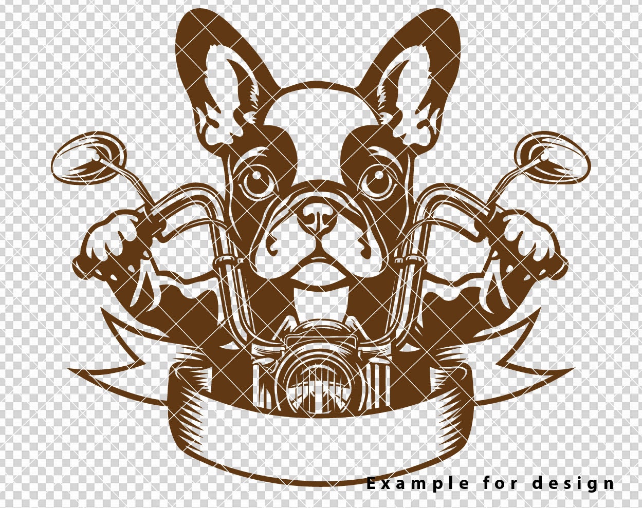 frenchbulldogぺージ Zara - French Bulldog Puppy F64390 | Pawrade