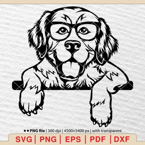 Golden Retriever with Sunglasses SVG Clipart (Digital Files)