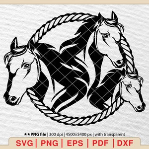 Horse Svg,Horse Monogram Svg,Horse Svg Bundle,Horse Head Svg,Horses Svg,Beautiful Horse Svg,files download Svg,Pdf,Png,Eps,Dxf[EP-196]