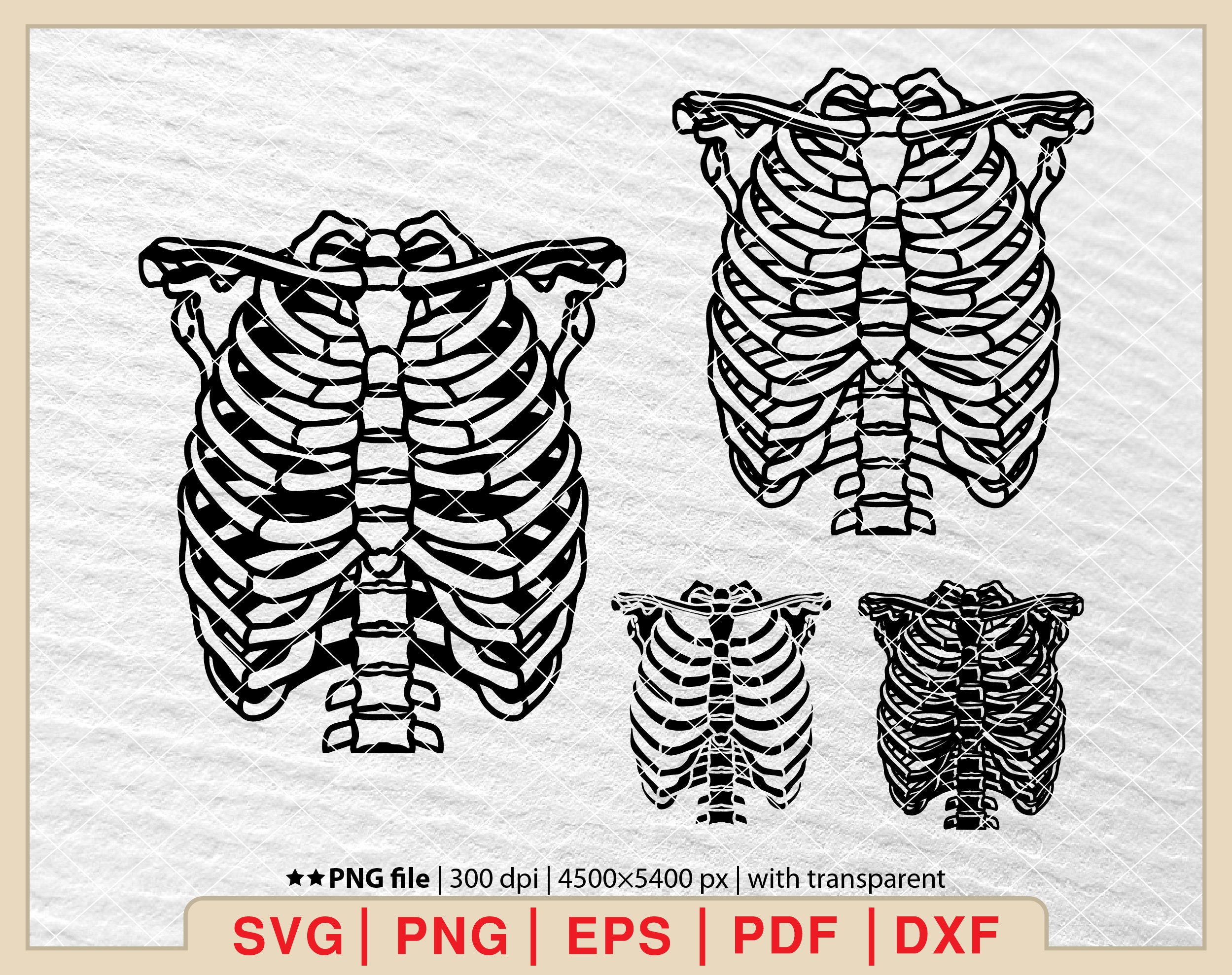 Skeleton Rib Cage SVG: Halloween Ribs Graphic (digital Files) - Etsy