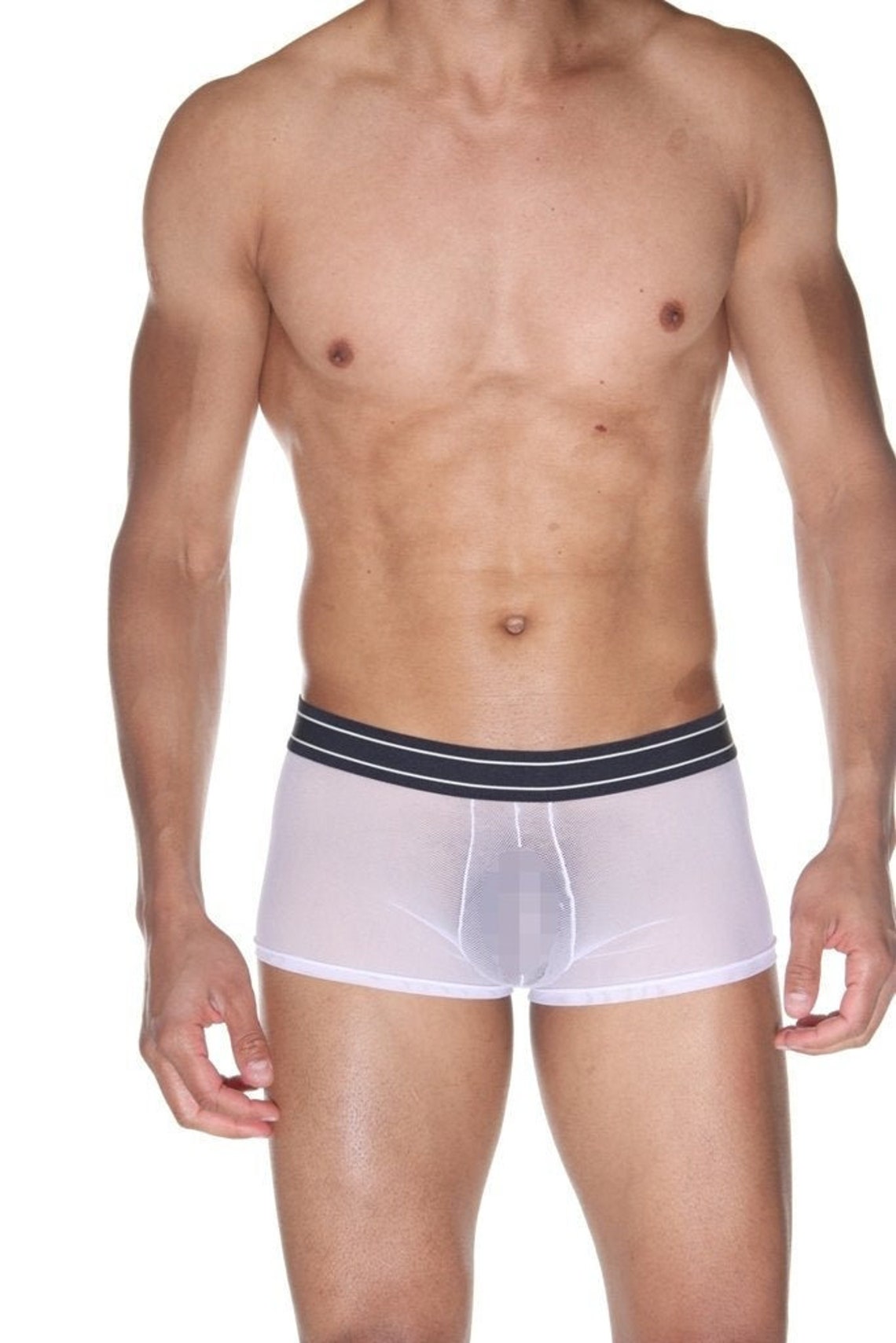 Men's Transparent Boxer Briefs White Sheer Mens Underwear Etsy