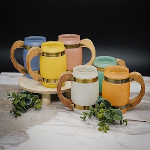 Siesta Ware Pastel Frosted Mugs, Wooden Handle Retro Mugs, Set of 6 Mugs
