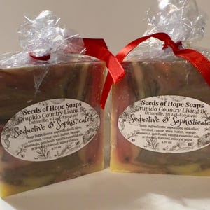 Seductive and Sophisticated Soap – Handmade Bar with Orange, Patchouli, Vanilla and Plumeria | Charcoal, Shea Butter, Luxurious Gift