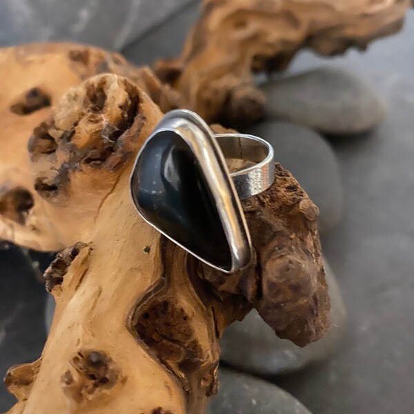 Petrified Palm Wood and Silver Ring