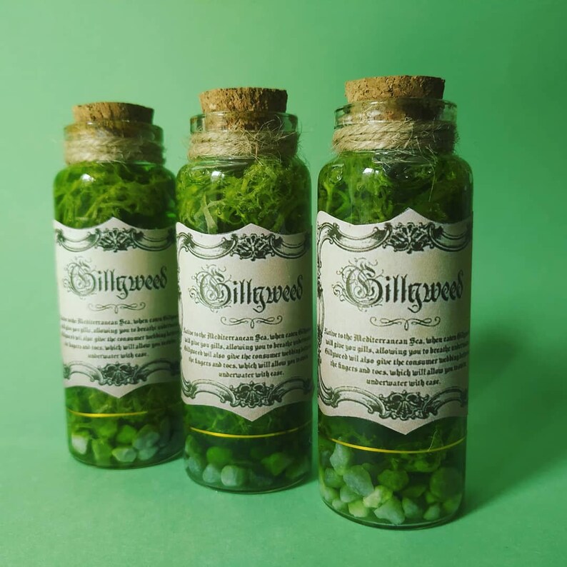 Harry Potter potions apothecary Gillyweed branquialgas Etsy