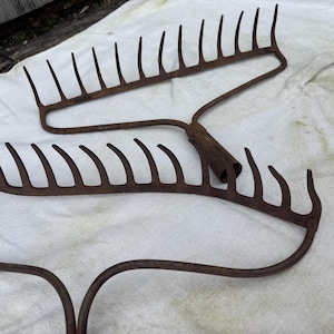 May include: Two antique garden rakes with curved tines and long handles. The rakes are made of rusty brown metal and are lying on a white surface. The tines are evenly spaced and appear to be well-worn.