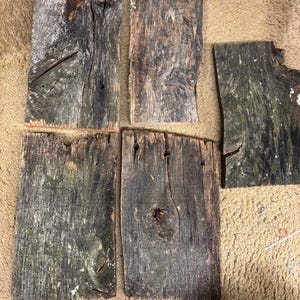 5 Weathered, Wormy, Rotted, Rough, Reclaimed Oak Barn Fence wood Boards 12&quot; long Oak Craft Wood, Barnwood pieces, Heavy Barn Wood