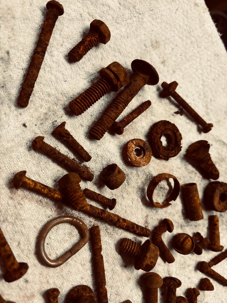 Rust Bits Small Rusty Bits Screws Bolts & Misc Metal Hardware, Mixed Media ...