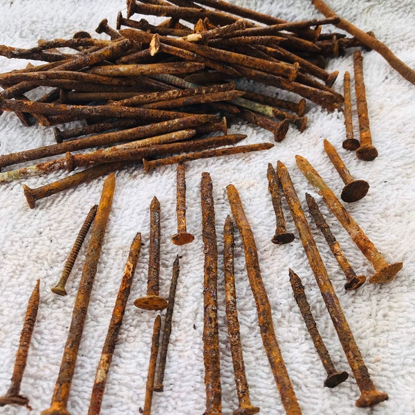 Rusty Nails, old barn find Assorted Sizes Shapes, Rust Dyeing pieces, Crafting Assemblage Rusted vintage tools, farmhouse, found objects 7oz