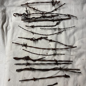 May include: A collection of rusty barbed wire pieces, laid out on a white fabric surface. The wire is twisted and has sharp points.