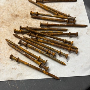 May include: A collection of rusty metal nails with rounded heads. The nails are arranged in a random pattern on a white surface.