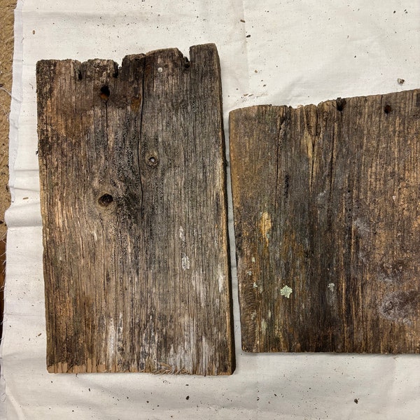 2 pc Reclaimed Oak Barn Fence wood Board end cuts,  Oak Craft Wood, Wood for Signs, Barnwood pieces, Heavy Barn Wood, Weathered