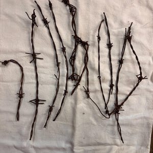 May include: Several strands of weathered, dark brown rusted barbed wire are arranged vertically. Each strand features sharp, twisted metal barbs spaced at intervals along the length of the wire, showing signs of oxidation and age throughout.