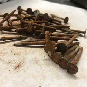 May include: A pile of rusty nails with large, flat heads. The nails are scattered on a white surface.