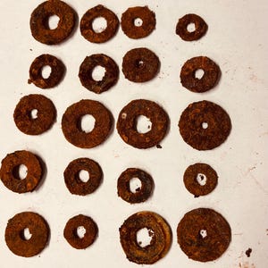 May include: A collection of twenty-one rusty, circular metal washers with central holes, arranged on a white surface. The washers vary slightly in size and show signs of age and oxidation, with a predominantly brown color.