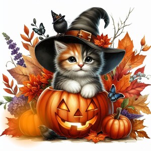 May include: A cute orange, black, and white kitten wearing a black witch hat sits inside a carved orange jack-o'-lantern. The kitten is surrounded by fall leaves and flowers.