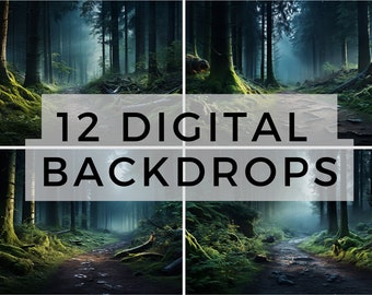 12 Mystical Woods, Nature Digital Backdrops, Forest Backdrop Overlays, Photography Digital Background Overlays, Photoshop Textures Overlays