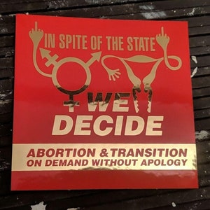 Feminist Sticker: In Spite of the State We Decide 2.75 square, Red on Mirror Chrome/Gold Mirror Chrome packs of 5/10/25 image 1