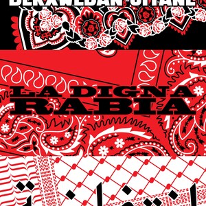 K&ouml;nnte beinhalten: Ein Grafikdesign mit Text und Mustern in Rot, Schwarz und Wei&szlig;. Das Design umfasst florale Elemente, Paisley-Muster und arabischen Text. Der Text enth&auml;lt die W&ouml;rter "BERXWEDAN JIYANE", "LA DIGNA RABIA" und arabischen Text.