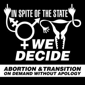 Feminist Sticker: In Spite of the State We Decide 2.75 square, Red on Mirror Chrome/Gold Mirror Chrome packs of 5/10/25 image 2