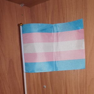Transgender pride flag small handheld