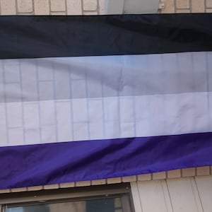 Asexual pride flag large 3' X 5'