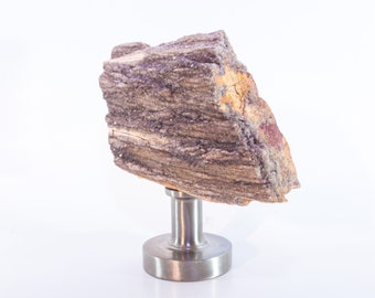 Petrified Wood with Purple Druzy Amethyst Quartz Crystal - 4.25” x 2.75” x 1.5”