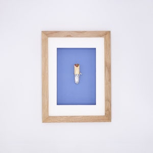 Op de afbeelding: Een ingelijste kunstdruk met een kleurrijke burrito verpakt in folie, tegen een blauwe achtergrond. Het kunstwerk is gevat in een lichtbruine houten lijst met een witte passe-partout.