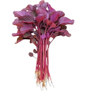 May include: A bundle of fresh red amaranth, a leafy green vegetable. The leaves are a deep burgundy color, with vibrant red stems and roots. The plant is shown against a white background.