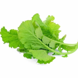 May include: A bunch of fresh mustard greens featuring vibrant, light green, ruffled leaves with prominent veins and long, slender, light green stems. The leafy vegetable is arranged in a loose cluster, showcasing the textured edges of the foliage.