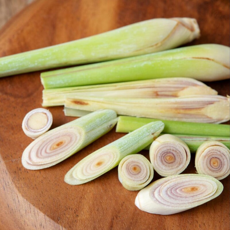 Herb Lemon Grass East India 200 Non-GMO, Heirloom Seeds Herb Lemon Grass East India 200 Non-GMO, Heirloom Seeds
