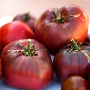Cherokee purple tomato seeds
