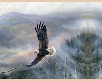 Eagle's Wings Wallpaper Border
