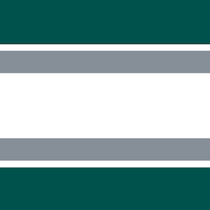 Philadelphia Eagles Wallpaper Border