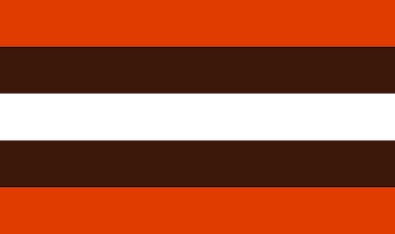 Cleveland Browns Custom Wallpaper Border 