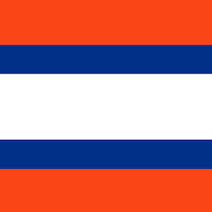 Università della Florida Gators Helmet Stripe Wallpaper Border