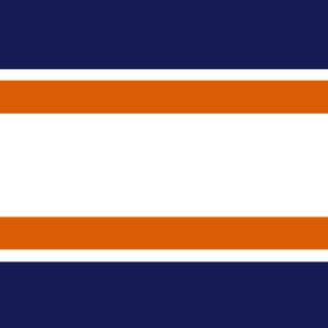 Chicago Bears Wallpaper Border