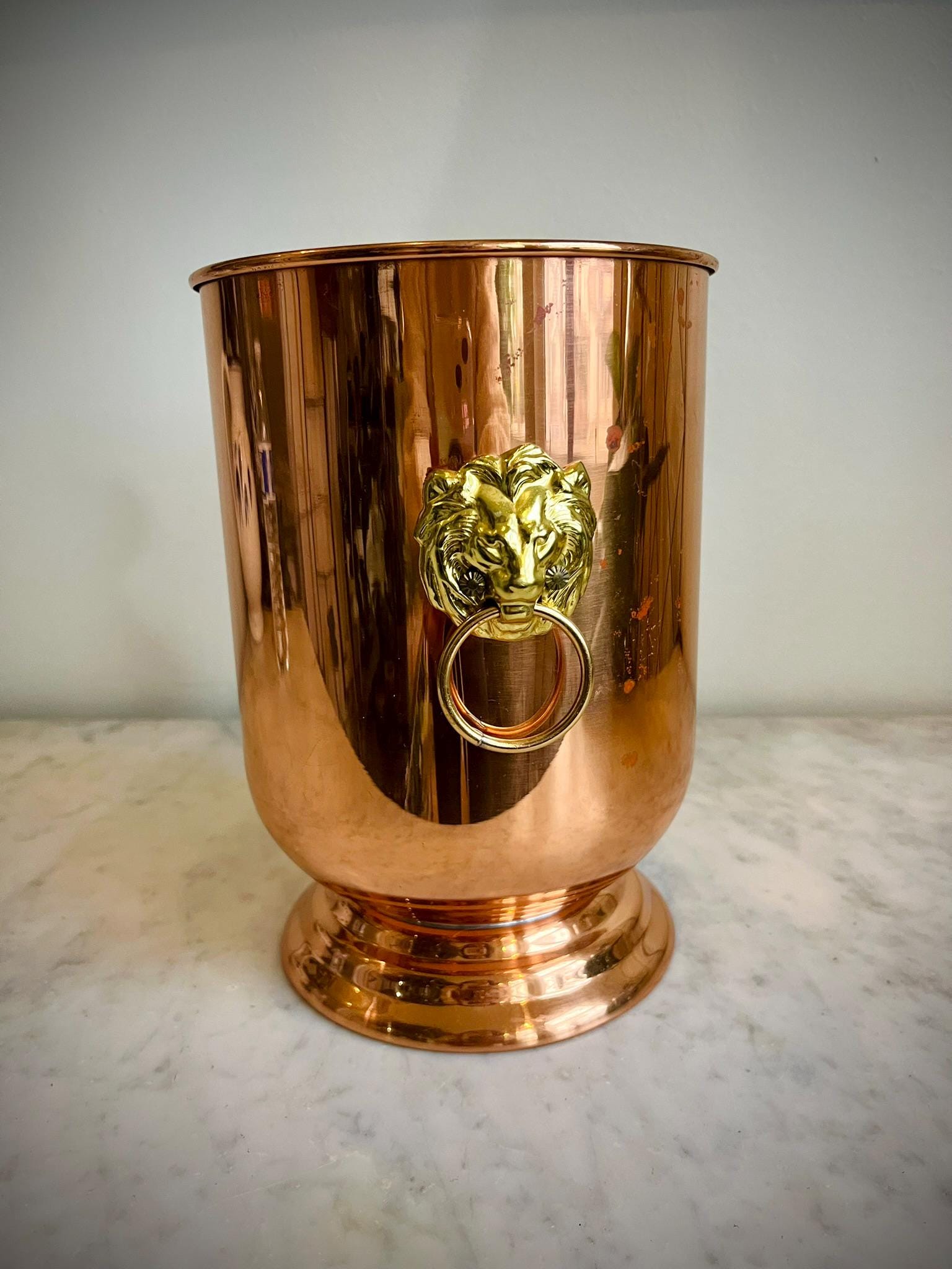 Lion Head Ice Bucket - Etsy