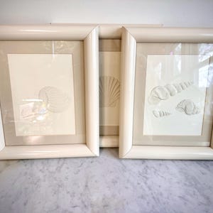 May include: Two framed seashell art prints. The frames are a cream color, and the prints feature detailed drawings of seashells in shades of white and gray. The artwork is displayed on a marble surface.